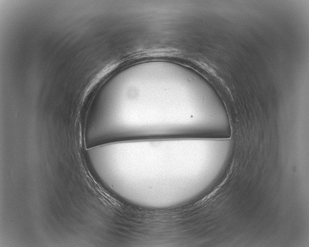 X0000058801317200510171336