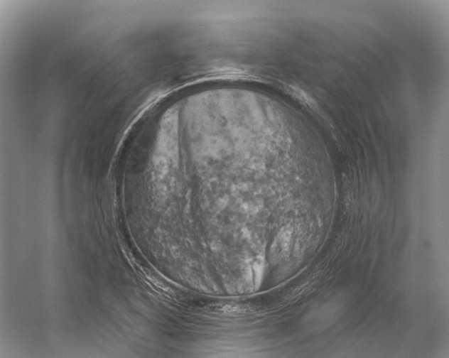 X0000058801318200510171336