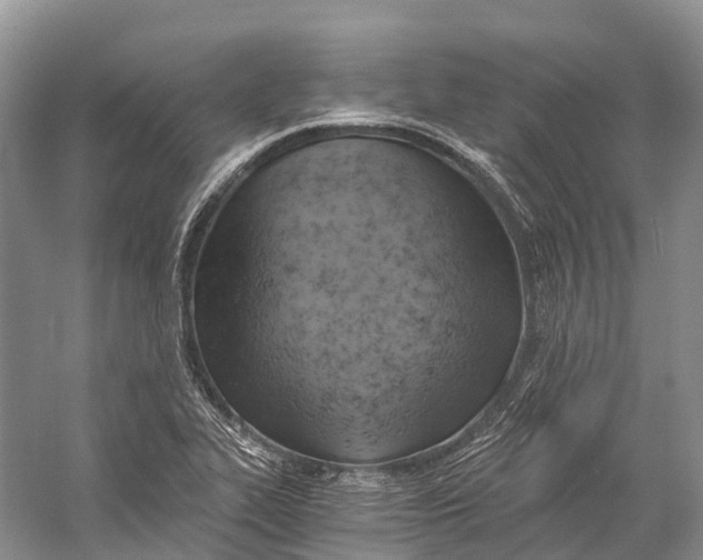 X0000058801319200510171336