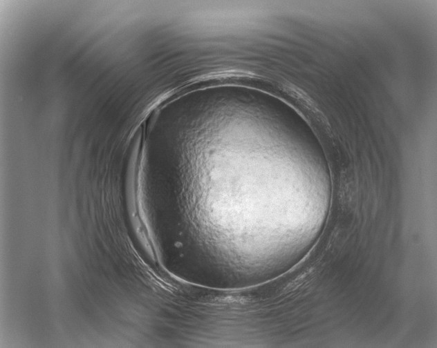 X0000058801321200510171336