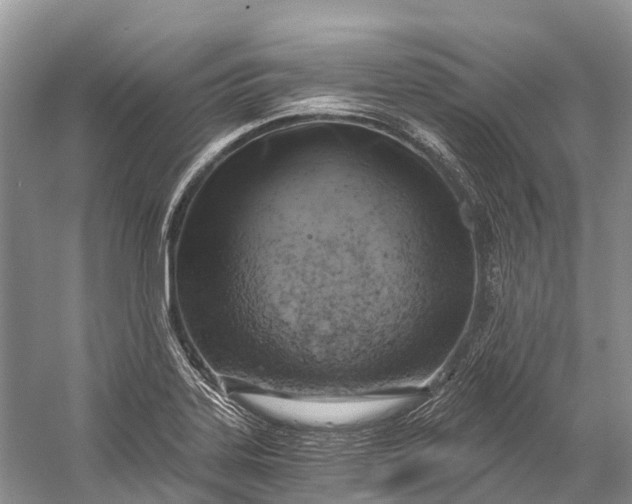 X0000058801323200510171336