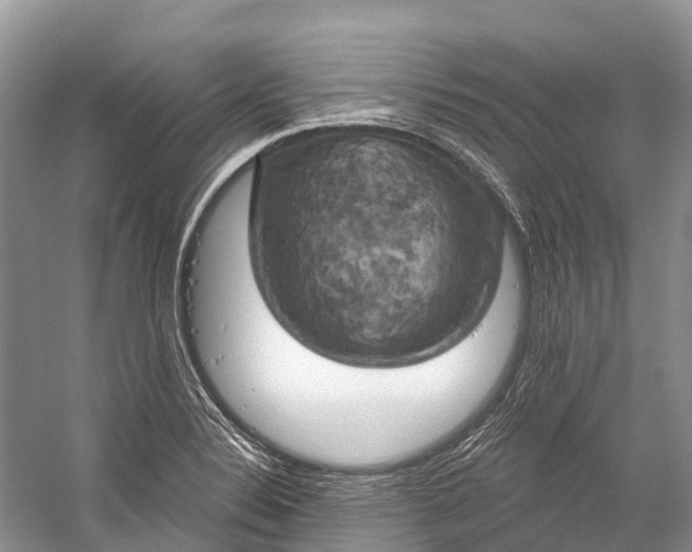 X0000058801324200510171336