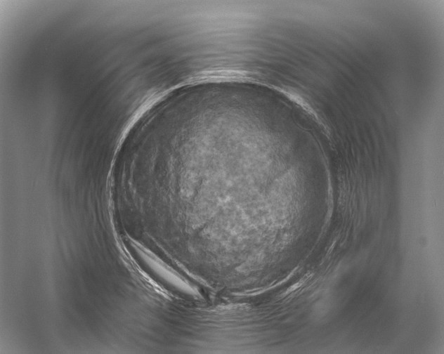 X0000058801325200510171336