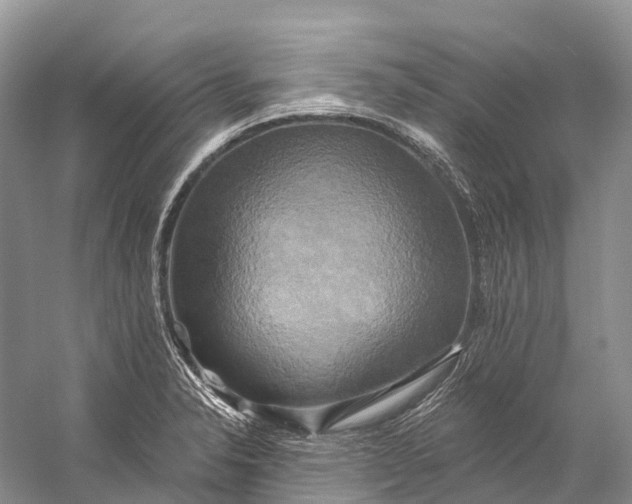 X0000058801326200510171336