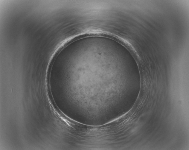 X0000058801327200510171336