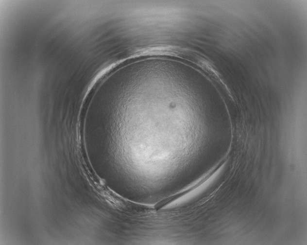 X0000058801328200510171336