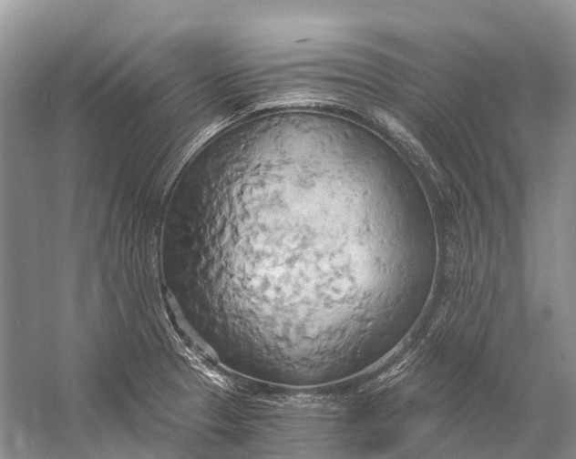 X0000058801329200510171336