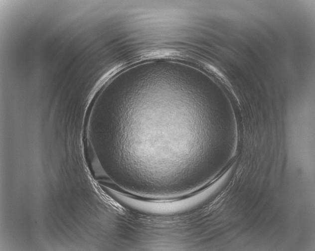 X0000058801330200510171336