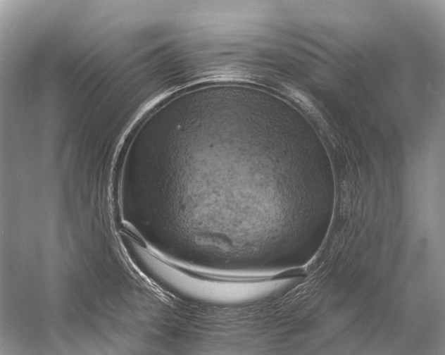 X0000058801331200510171336