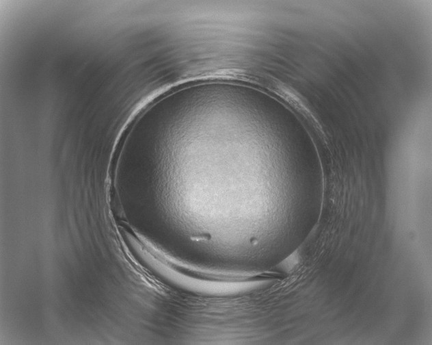 X0000058801332200510171336