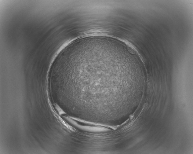 X0000058801333200510171336