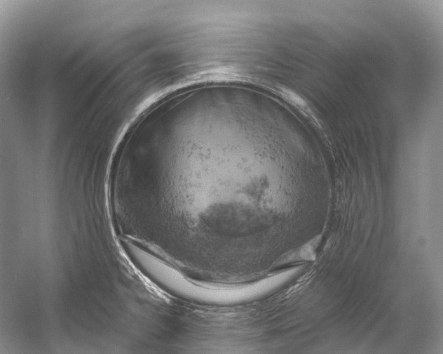 X0000058801334200510171336