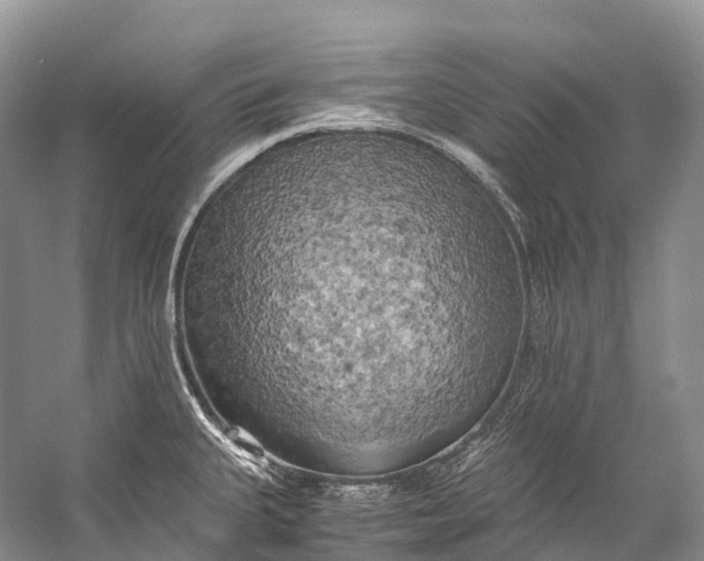 X0000058801335200510171336