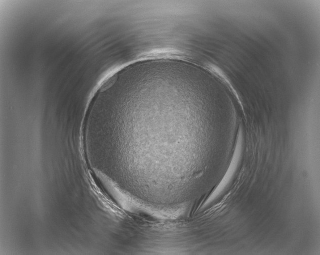 X0000058801336200510171337