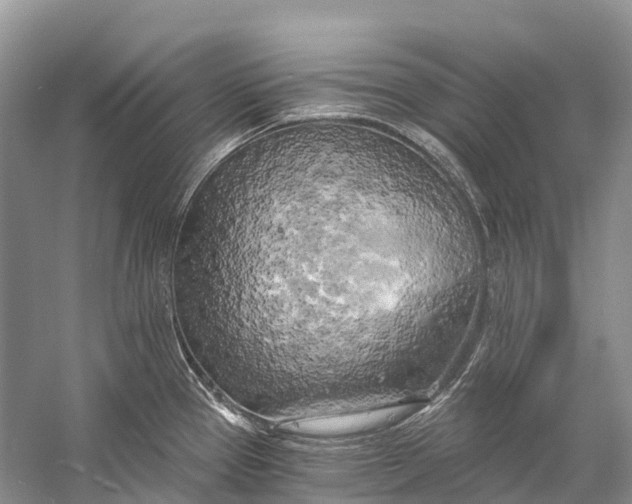 X0000058801337200510171337