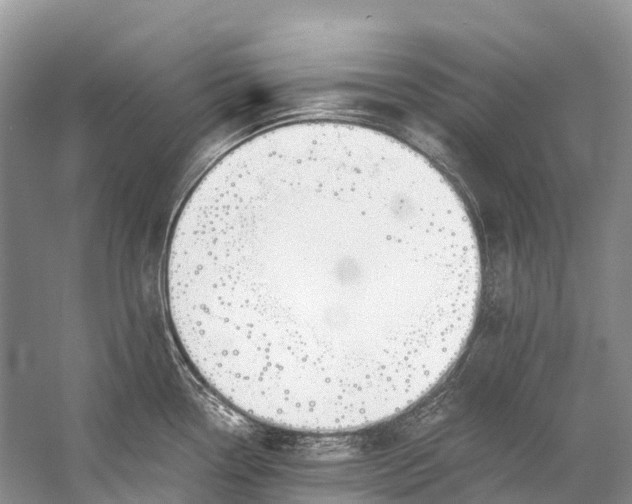 X0000058801338200510171337