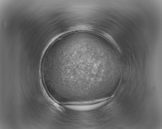 X0000058801339200510171337