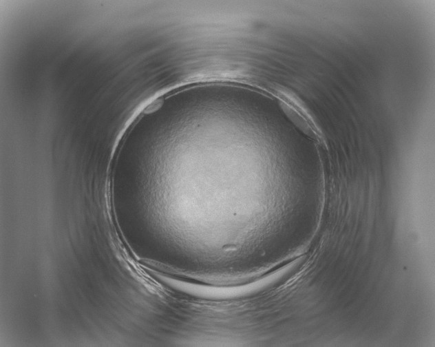 X0000058801340200510171337