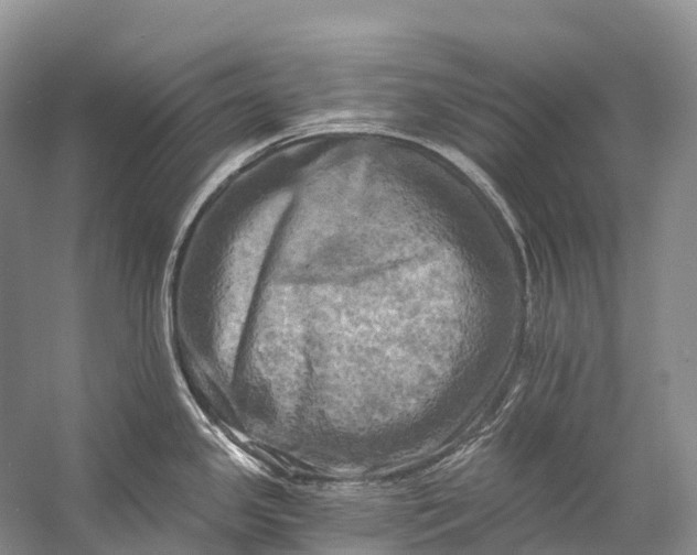 X0000058801341200510171337