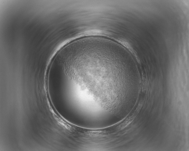 X0000058801342200510171337