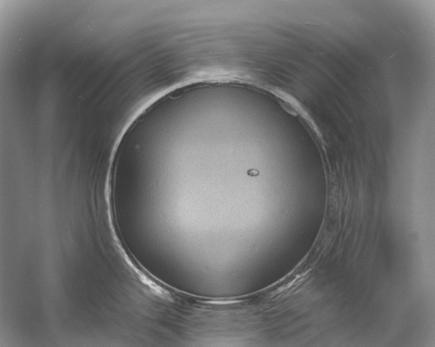 X0000058801343200510171337