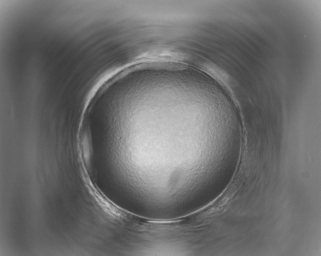 X0000058801344200510171337