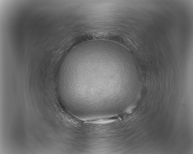 X0000058801345200510171336