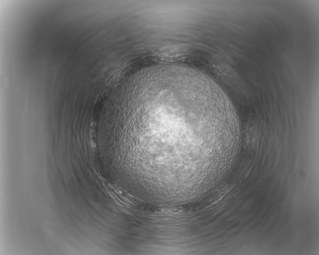 X0000058801346200510171336