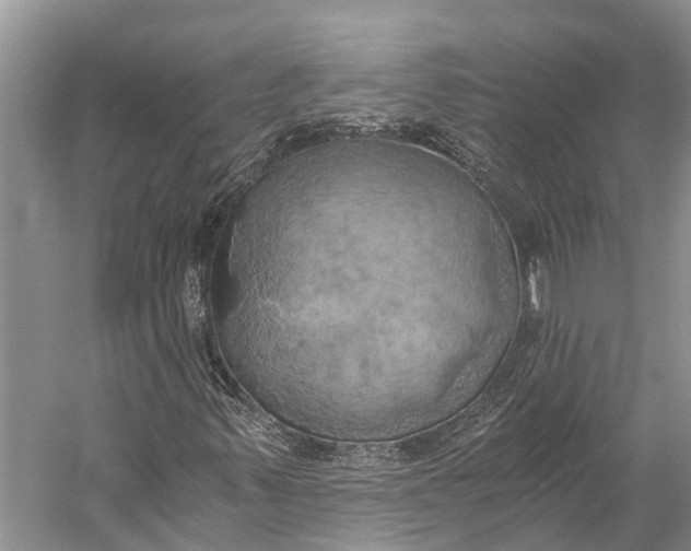 X0000058801347200510171336