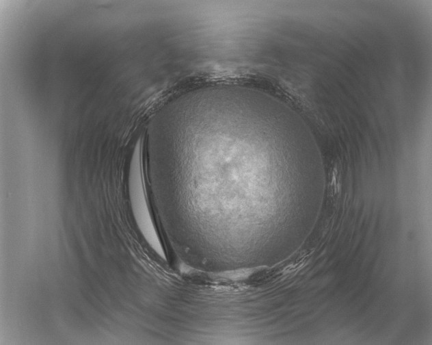 X0000058801348200510171336