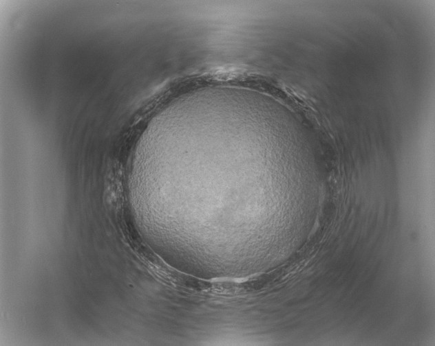 X0000058801349200510171336