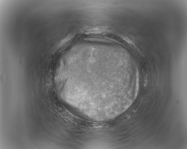 X0000058801350200510171336