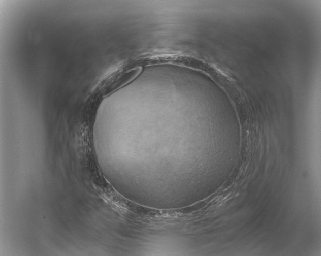 X0000058801351200510171336