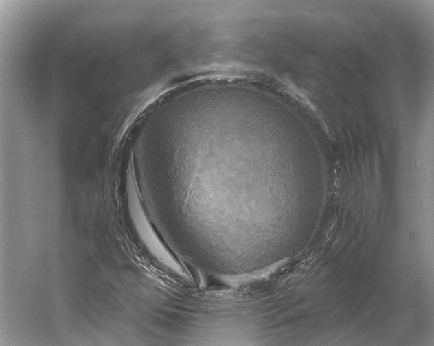 X0000058801352200510171336