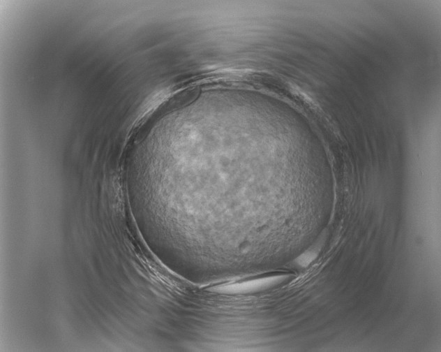 X0000058801354200510171336