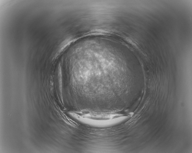 X0000058801355200510171336