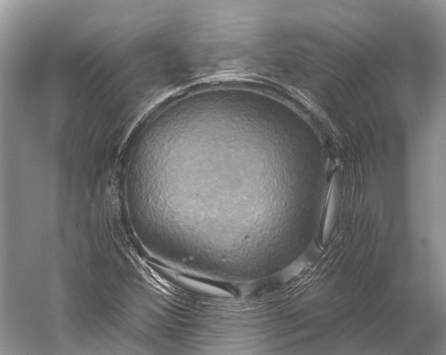 X0000058801356200510171336