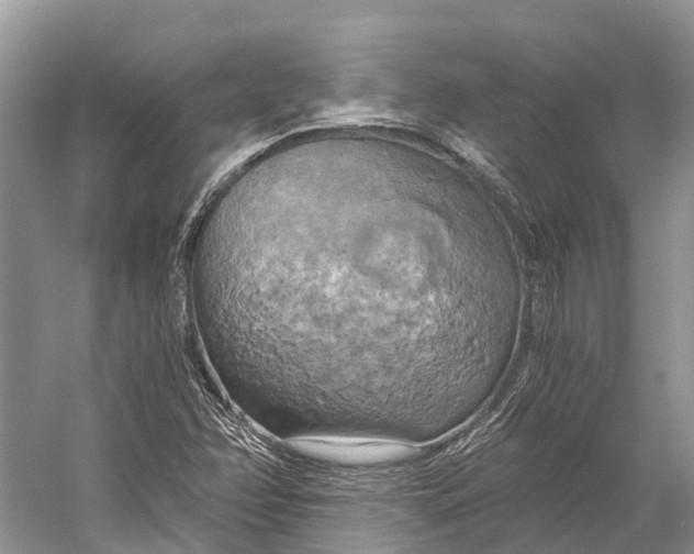 X0000058801358200510171336