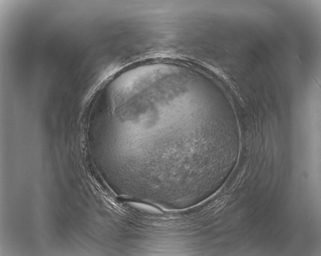 X0000058801359200510171336