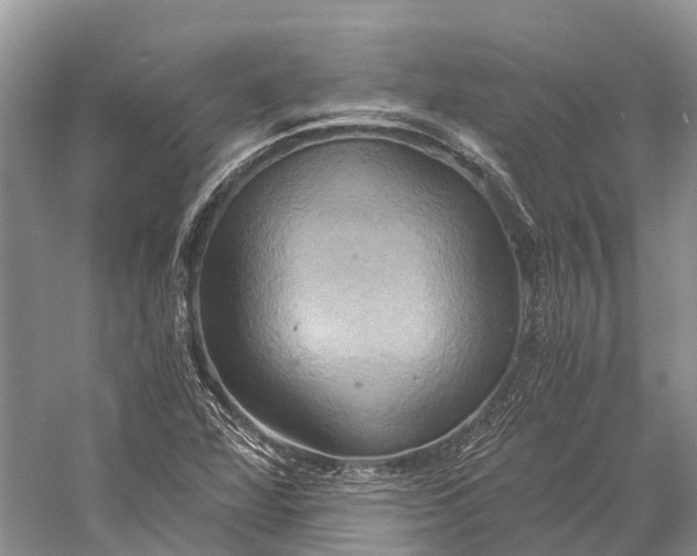 X0000058801360200510171336