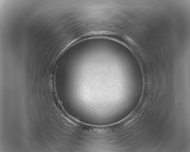 X0000058801361200510171336