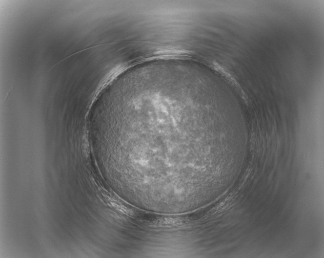 X0000058801362200510171336