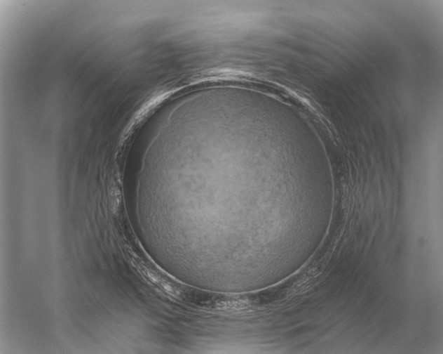 X0000058801363200510171335