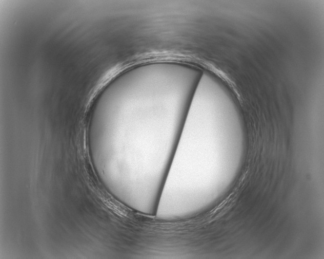 X0000058801365200510171335