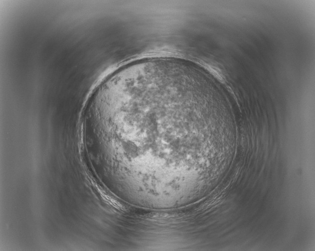 X0000058801366200510171335