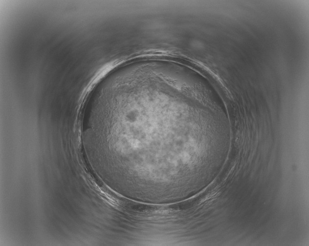 X0000058801367200510171335