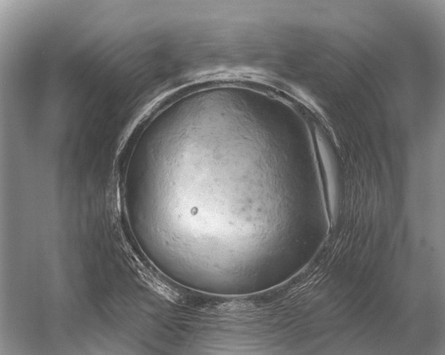 X0000058801368200510171335