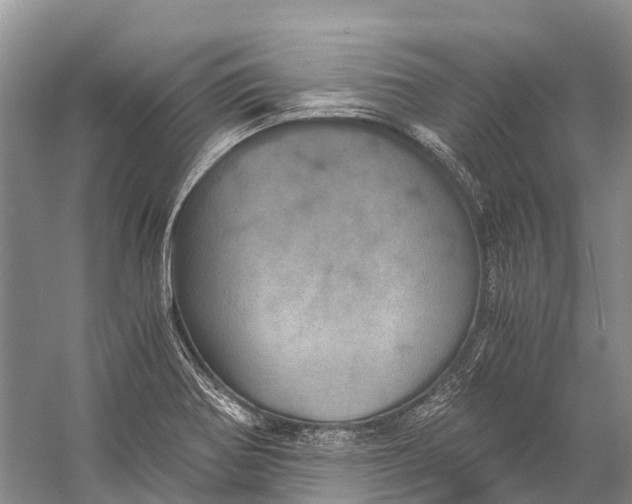 X0000058801370200510171335