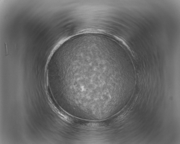 X0000058801371200510171335