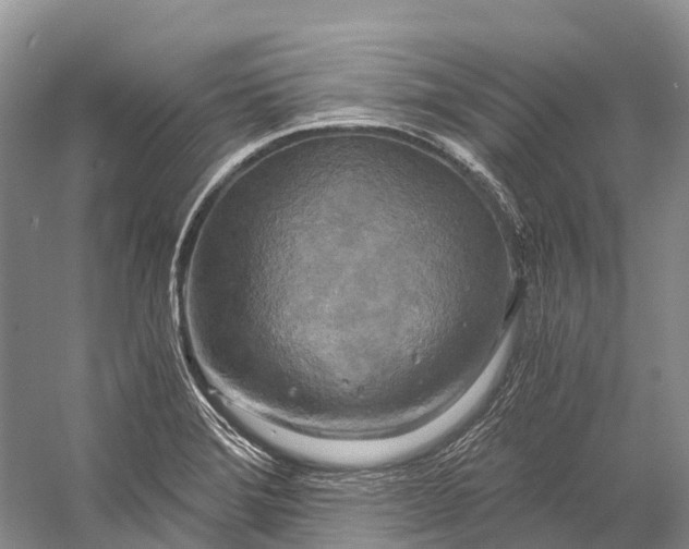 X0000058801372200510171335